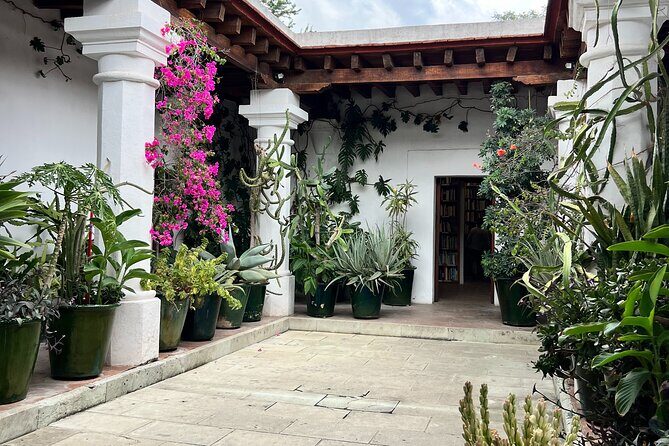 Oaxaca Walking Tour - Introduction: A Walk Through Oaxaca’s Soul