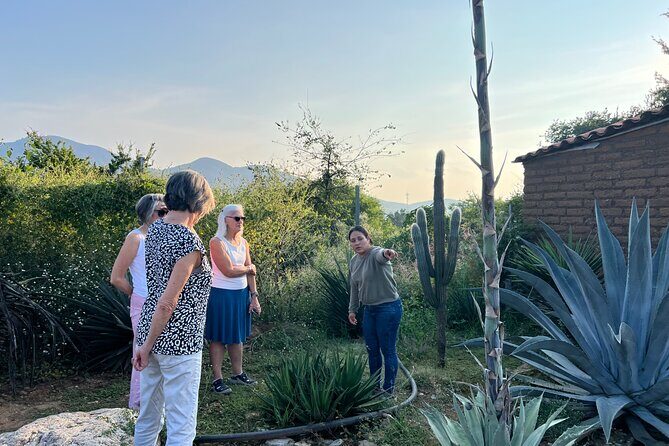 Oaxaca Women Private Tour - Practical Tips for Potential Participants
