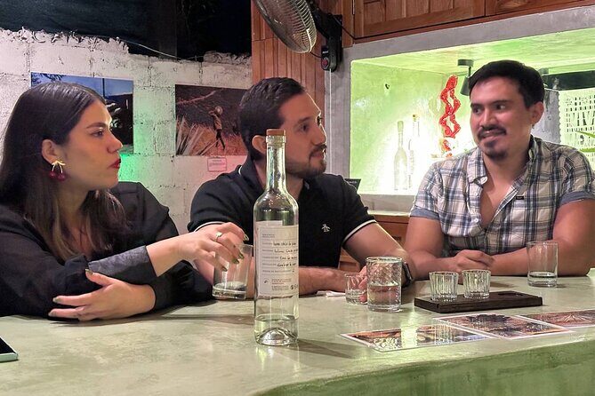 Oaxacan Artisan Mezcal Tasting in Valladolid - A Taste of Oaxaca in Valladolid: Oaxacan Artisan Mezcal Tasting