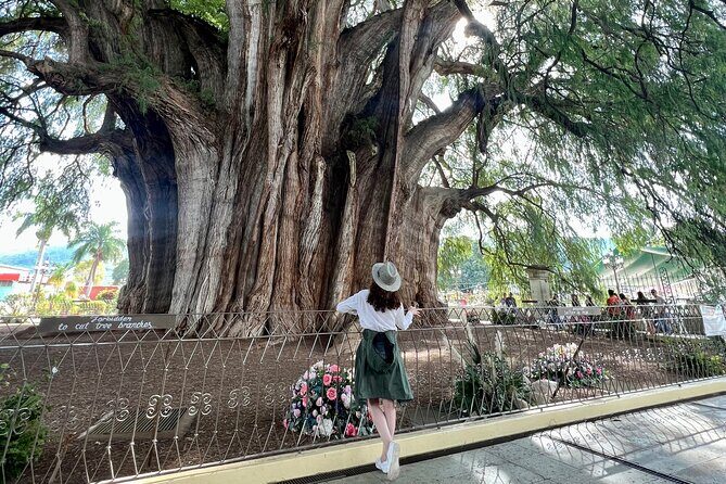 Oaxacan Journey - FAQ