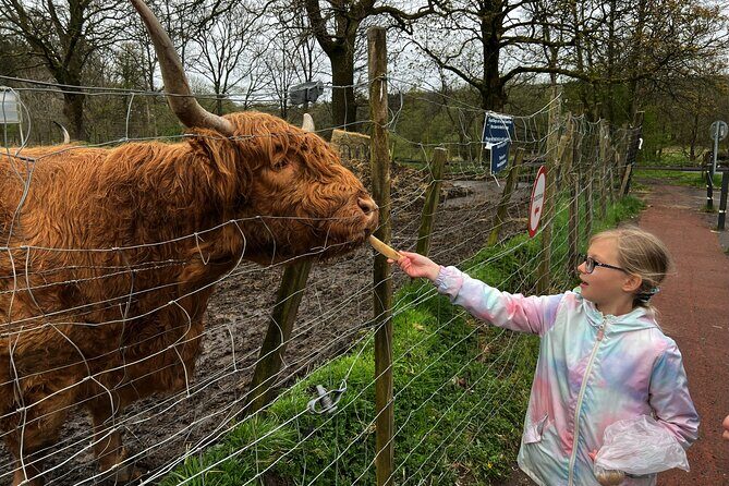 Oban, Whisky, Glencoe, Highlands, Loch Lomond Private Tour - FAQs