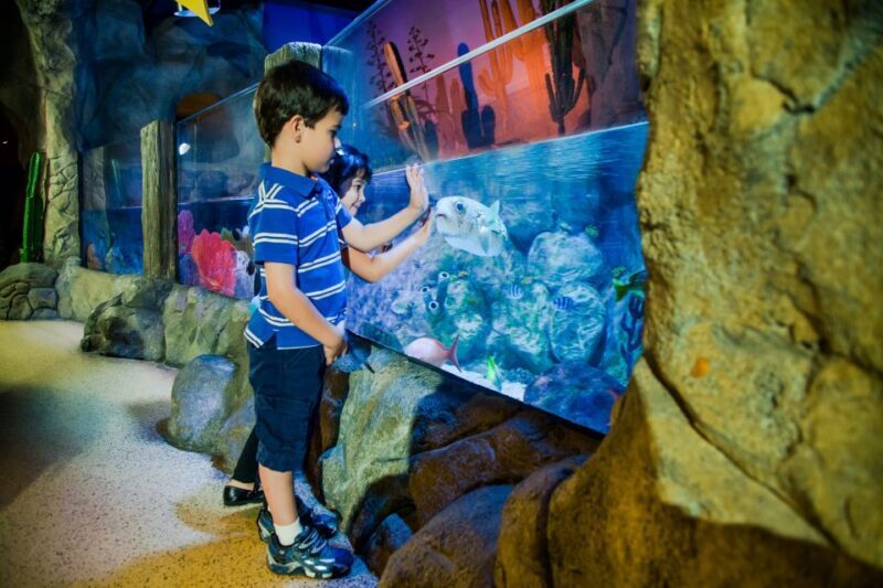 Oberhausen: LEGOLAND Discovery Centre and SEA LIFE Ticket - A Closer Look at the Experience