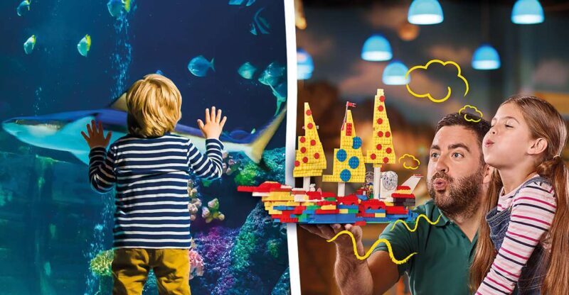Oberhausen: LEGOLAND Discovery Centre and SEA LIFE Ticket - Who Should Consider This Experience?