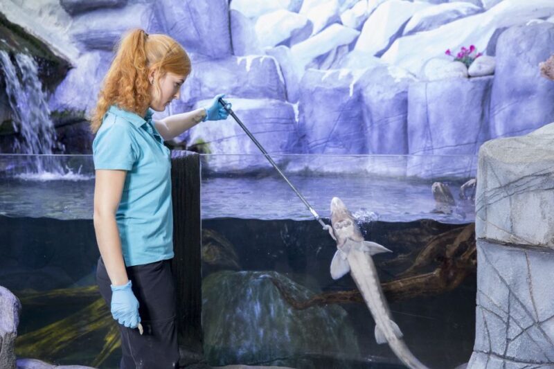 Oberhausen: LEGOLAND Discovery Centre and SEA LIFE Ticket - The Sum Up