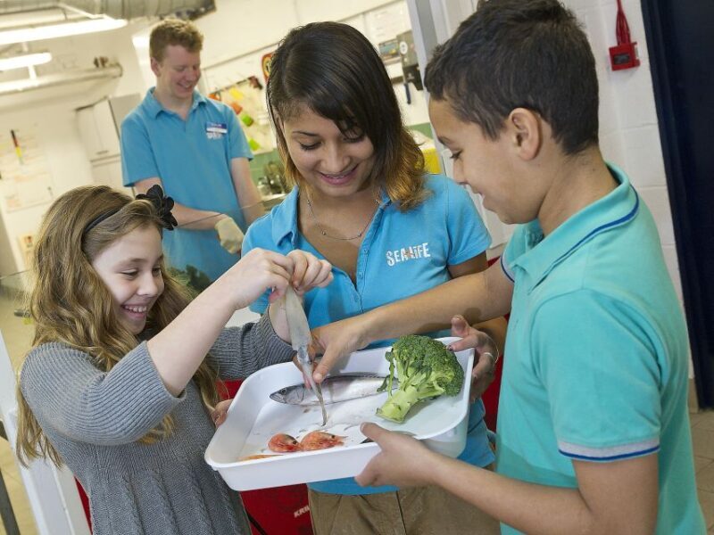 Oberhausen: SEA LIFE Ticket and Behind the Scenes Tour - FAQ