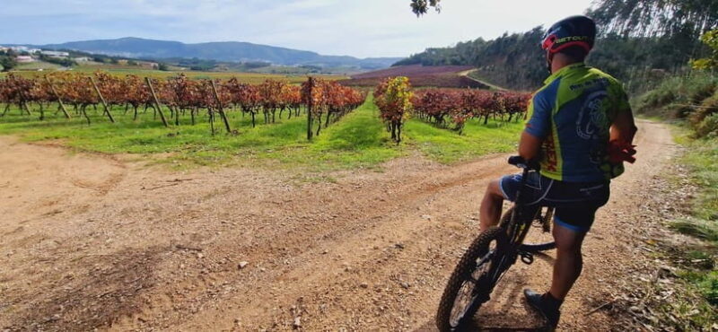 Óbidos: E-Bike Tour to Quinta do Gradil with Wine Tasting - Key Points