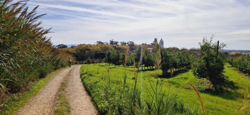 Óbidos: E-Bike Tour to Quinta do Gradil with Wine Tasting - An In-Depth Look at the Óbidos E-bike Experience