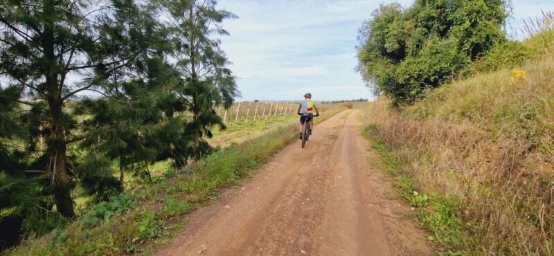 Óbidos: E-Bike Tour to Quinta do Gradil with Wine Tasting - Why This Experience Offers Great Value