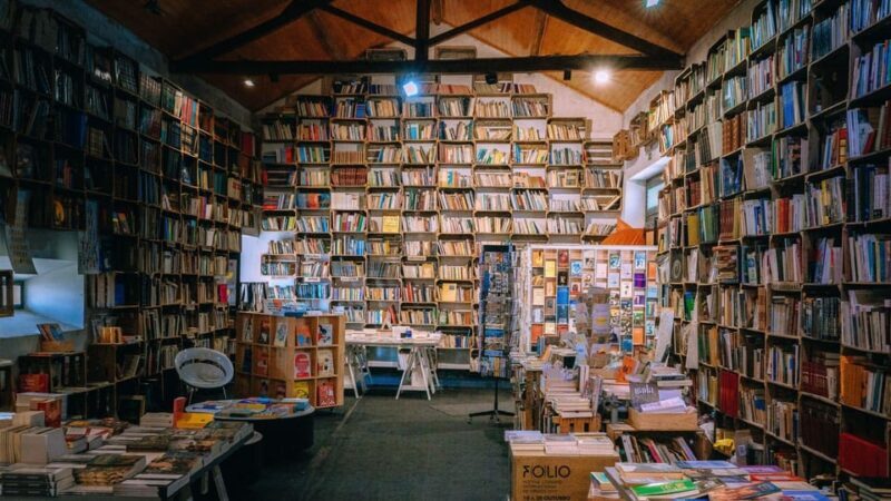 Óbidos & Nazaré Private Tour - The Sum Up: Who Will Love This Tour?