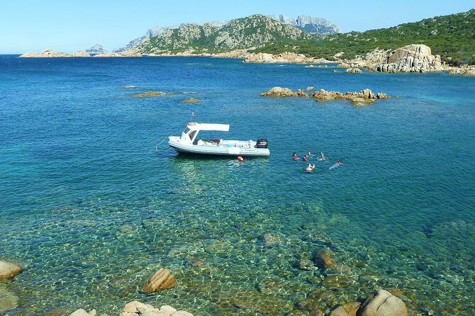 Observation of Dolphins and Snorkeling in a rubber boat in Olbia - Practical Details and Tips