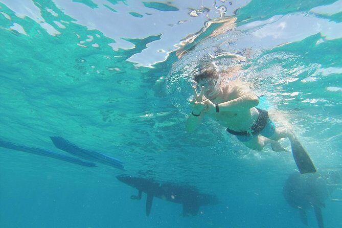 OBY Catamaran - What to Expect from the OBY Catamaran Tour