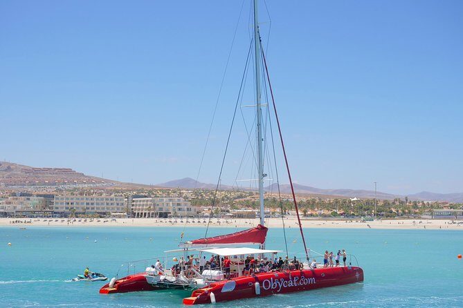 OBYCAT Experience - A Deep Dive into the OBYCAT Experience