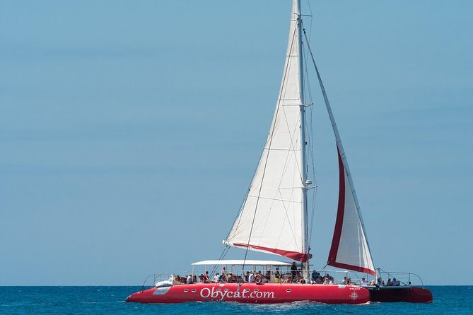 OBYCAT Experience - Final Thoughts