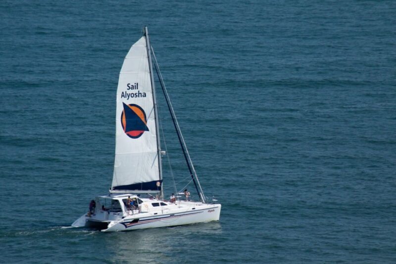 Ocean City: Assateague Island Morning Cruise - The Authentic Experience: Insights from Reviewers