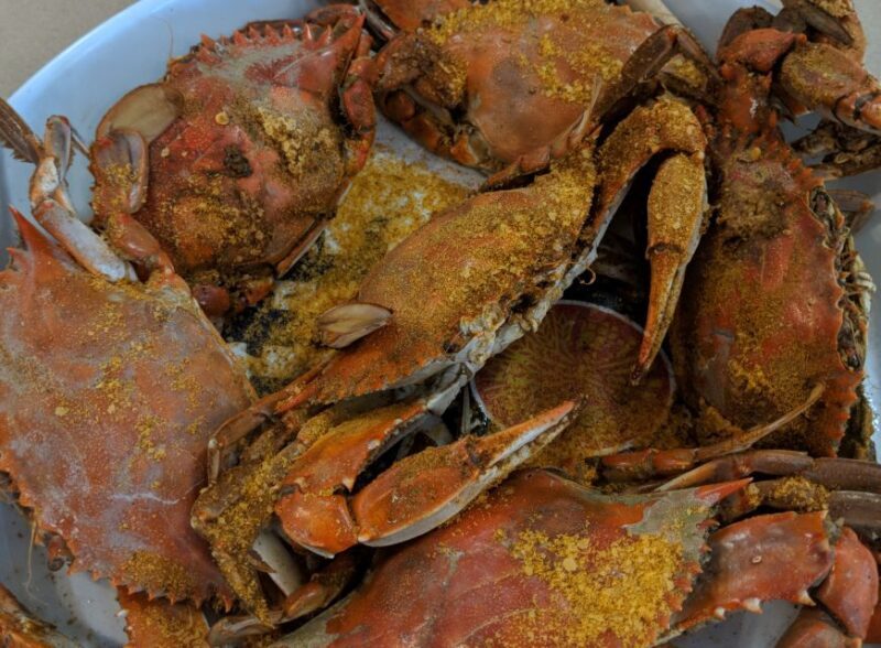 Ocean City: Downtown and Boardwalk Foodie Walking Tour - Who Should Book This Tour?