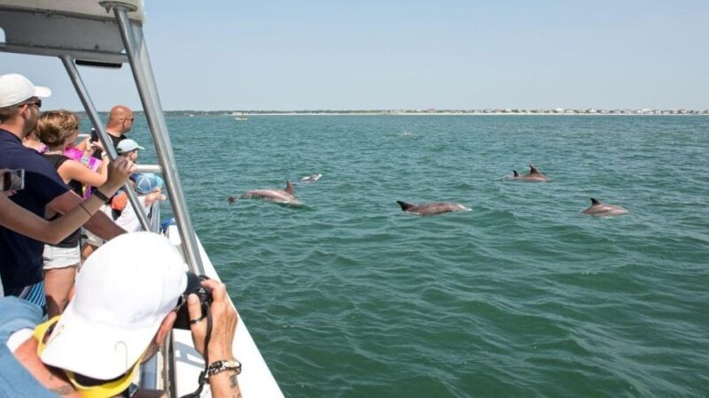 Ocean City, MD: Coastal Speedboat Tour with Dolphin Spotting - Key Points