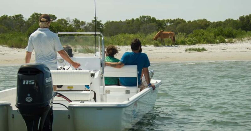 Ocean City: Private Party Assateague Island Cruise - From Dock to Drift: What to Expect on Your Private Water Adventure