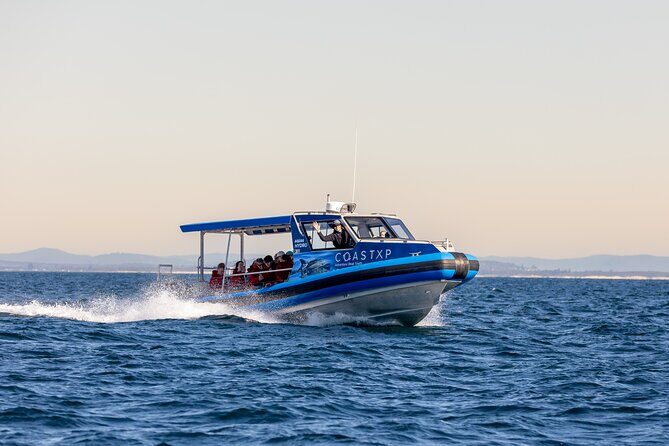 Ocean Explorer Tour from Lake Macquarie - Who Will Love This Tour?