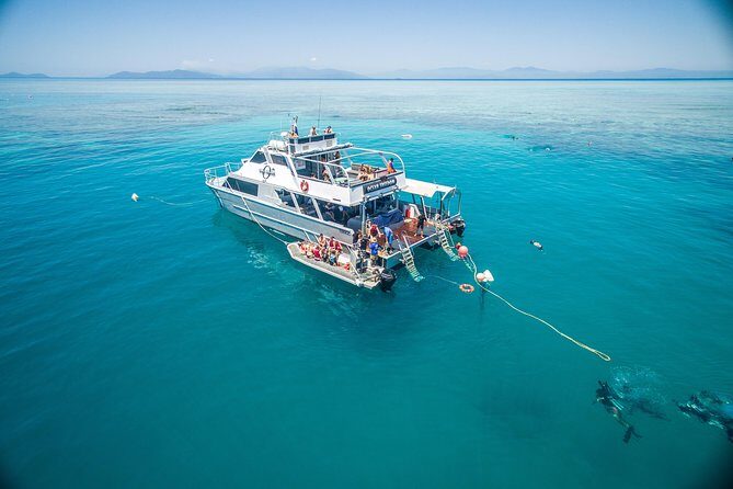 Ocean Freedom Great Barrier Reef Luxury Snorkel and Dive Cruise - A Detailed Look at the Ocean Freedom Reef Experience