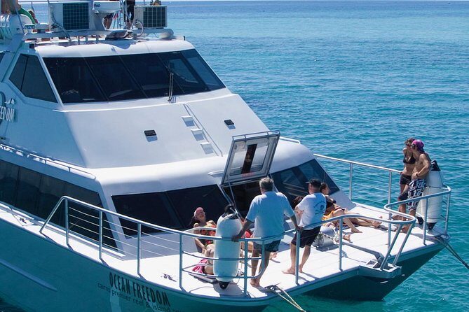 Ocean Freedom Great Barrier Reef Luxury Snorkel and Dive Cruise - FAQs