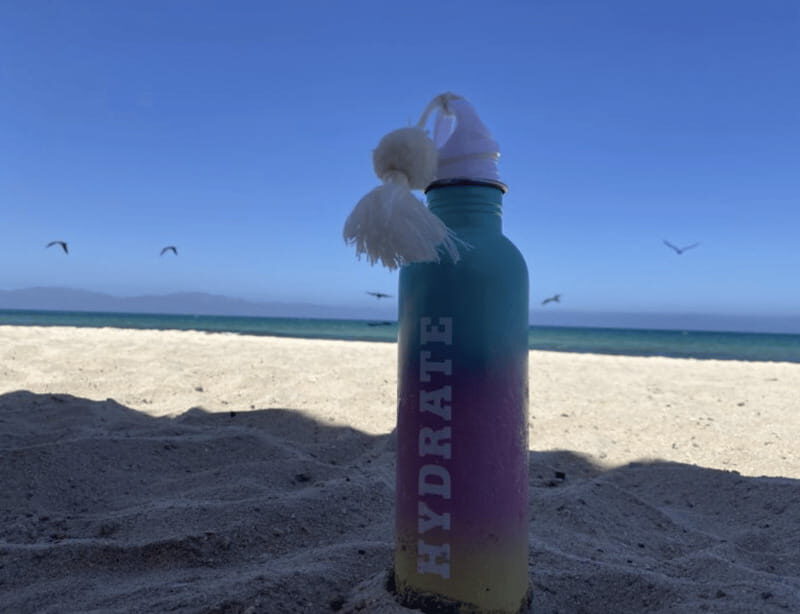 Ocean Safari in La Ventana BCS - Final Thoughts: Is It Worth It?