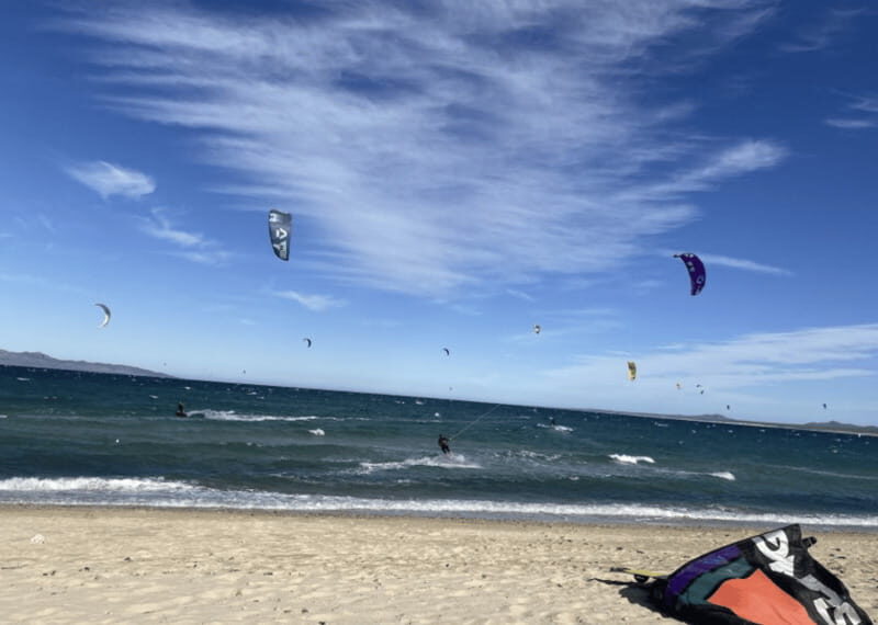 Ocean Safari in La Ventana BCS - FAQ