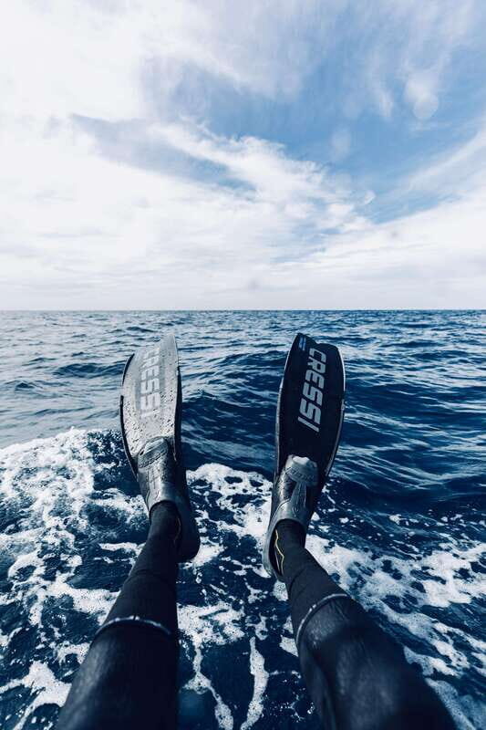 Ocean Safari in San Jose del Cabo - A Closer Look at the Experience