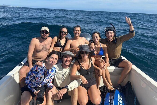 Ocean Safari in San Jose del Cabo - The Wildlife and Snorkeling Experience