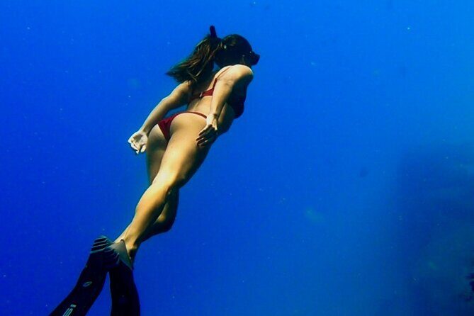 Ocean Safari Tour in Cabo San Lucas - What Makes the Tour Stand Out?