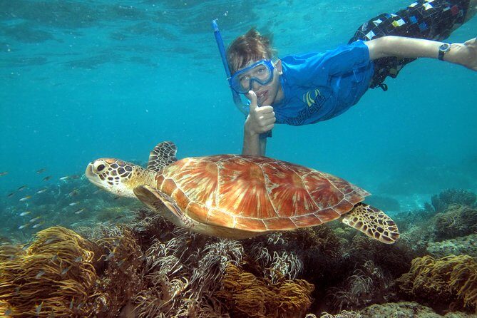 Ocean Spirit Sail to Michaelmas Cay Snorkel or Dive, from Cairns - A Closer Look at the Itinerary and Experience