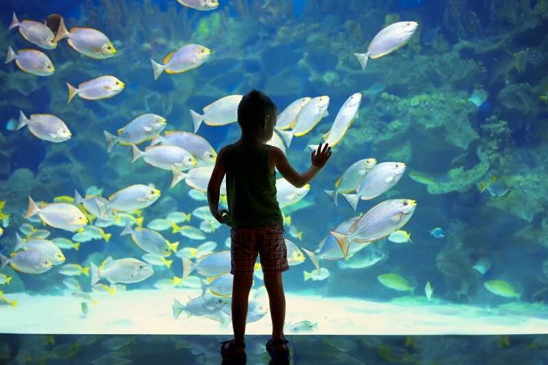 Oceanographic Museum of Monaco Ticket - Who Would Love This Experience?