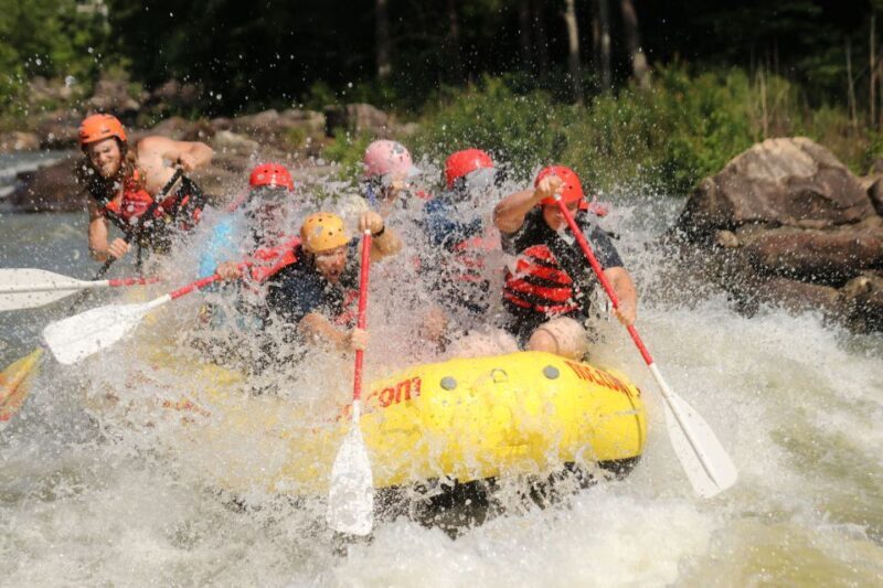 Ocoee River: Middle Ocoee Guided Rafting Tour - Who Will Love This Experience?