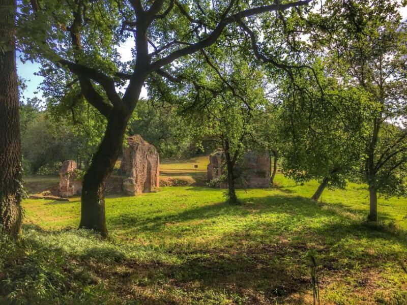 Ocriculum: entrance to the Umbrian archaeological park - The Value of the Experience