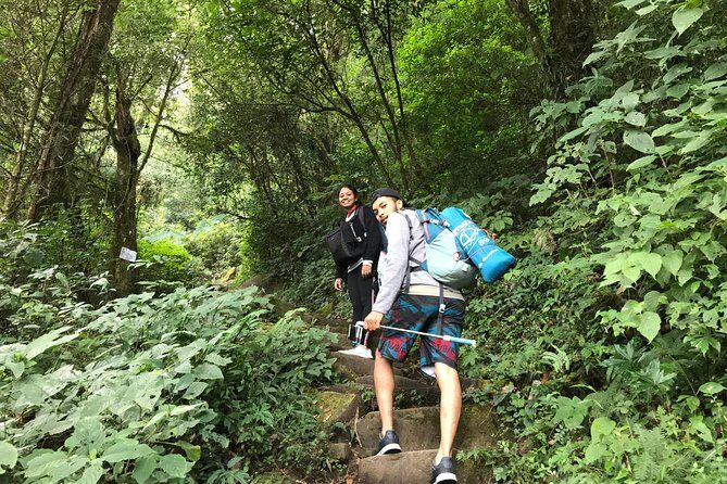 Oddessemania to dzukou valley - Authentic Traveler Insights from Reviews
