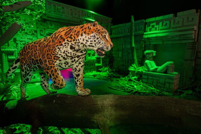 Odyssey Mexico - Immersive Experience in Mexico City - The Sum Up