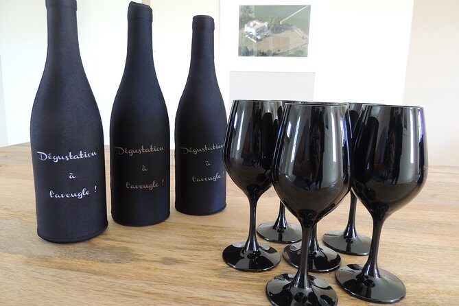 Oenological workshops at La Selve - The Authenticity and Expertise Behind the Experience