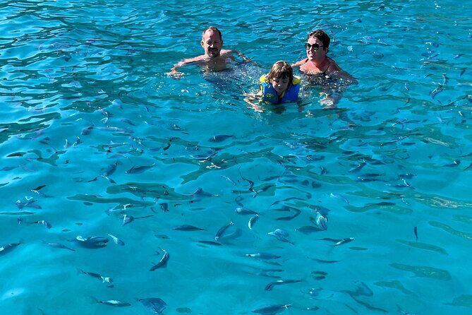 of Sagone/Cargèse Cruise Walk Swimming and Leisure - What to Expect on the Boat