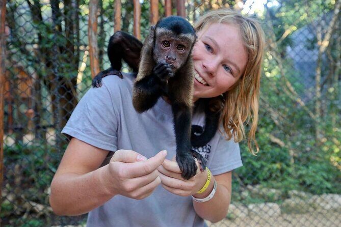 Off Road ATV Cenote Monkeys and Snorkel with Sea Turtles - An Honest Look at the Off Road ATV, Monkeys, and Sea Turtles Experience