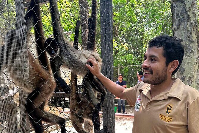 Off Road ATV Cenote Monkeys and Snorkel with Sea Turtles - Practical Details and What to Keep in Mind