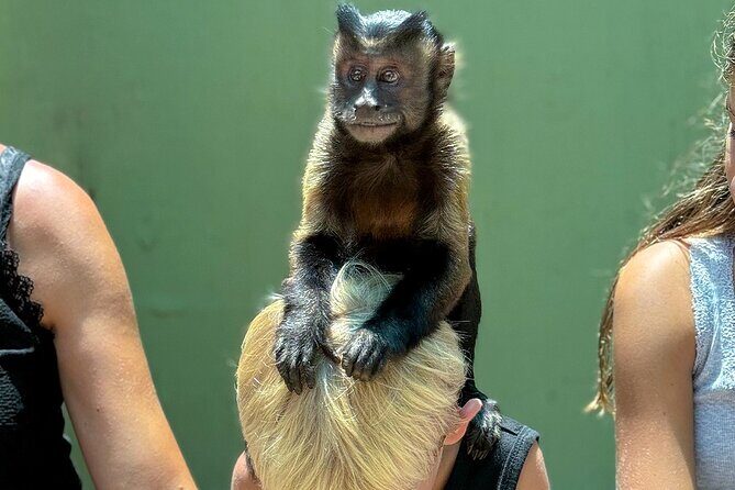 Off Road ATV Cenote Monkeys and Snorkel with Sea Turtles - Summing Up: Is This Tour Right for You?