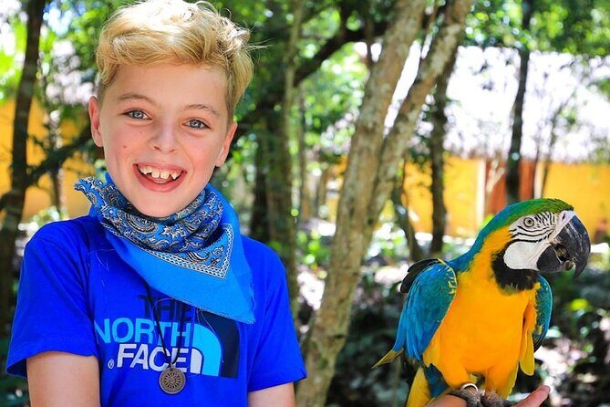 Off Road ATV Cenote Monkeys and Snorkel with Sea Turtles - Frequently Asked Questions