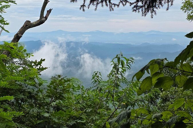 Off-Road Backroads Tour - Exploring the Itinerary: What to Expect