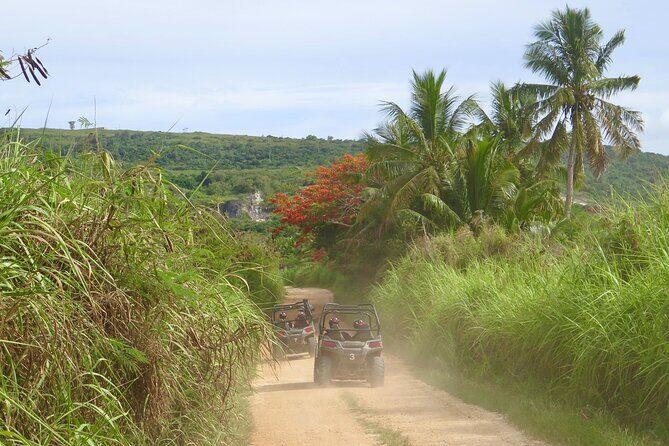 Off-Road Buggy Adventure - Final Thoughts: Is This the Right Adventure for You?