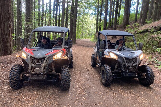 Off-Road Buggy Driving Experience - An In-Depth Look at the Off-Road Buggy Tour in Madeira