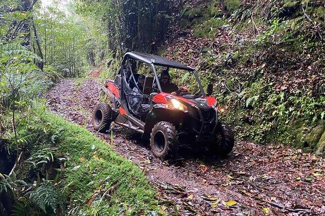 Off-Road Buggy Driving Experience - FAQs about the Off-Road Buggy Adventure in Madeira