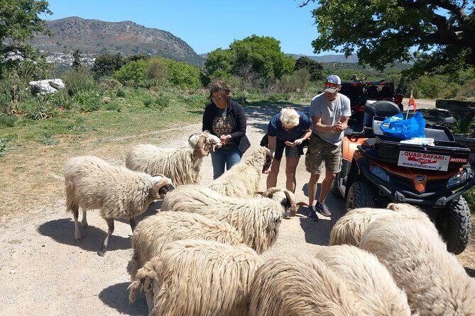 Off-road Buggy Safari in Crete with a Guide - A Detailed Look at the Crete Off-road Buggy Safari