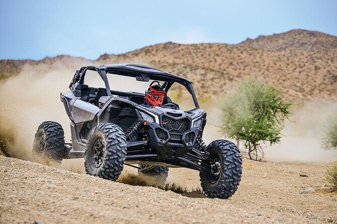 Off-Road Cabo Adventure: Desert & Beach Ride Plus Tequila Tasting - Key Points