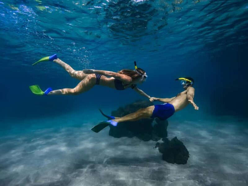 Off Road Coastal Tour 4x4 Vehicle With Snorkel Photo+Video - What Makes This Tour Stand Out?