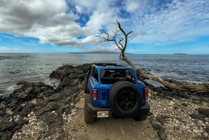 Off Road Coastal Tour 4x4 Vehicle With Snorkel Photo+Video - Authentic Experience and Genuine Reviews