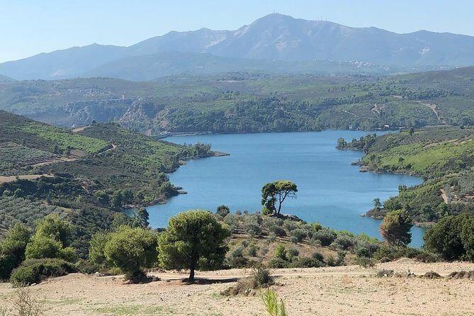 Off road experience at the roads of wine - Why This Tour Works for Travelers